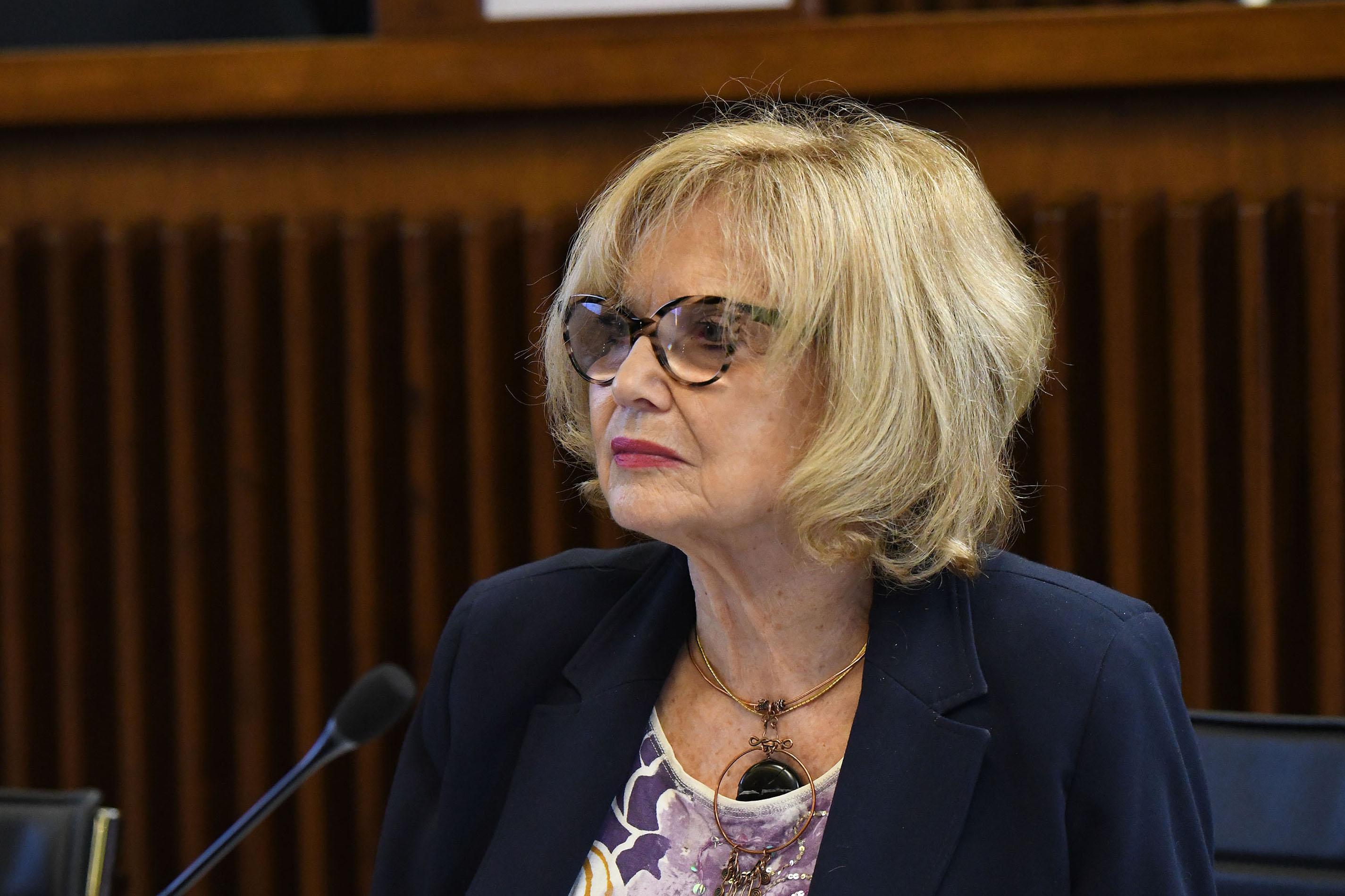 CASA/3. DISCUSSIONE GENERALE: POZZO-CAPOZZI-FASIOLO-HONSELL